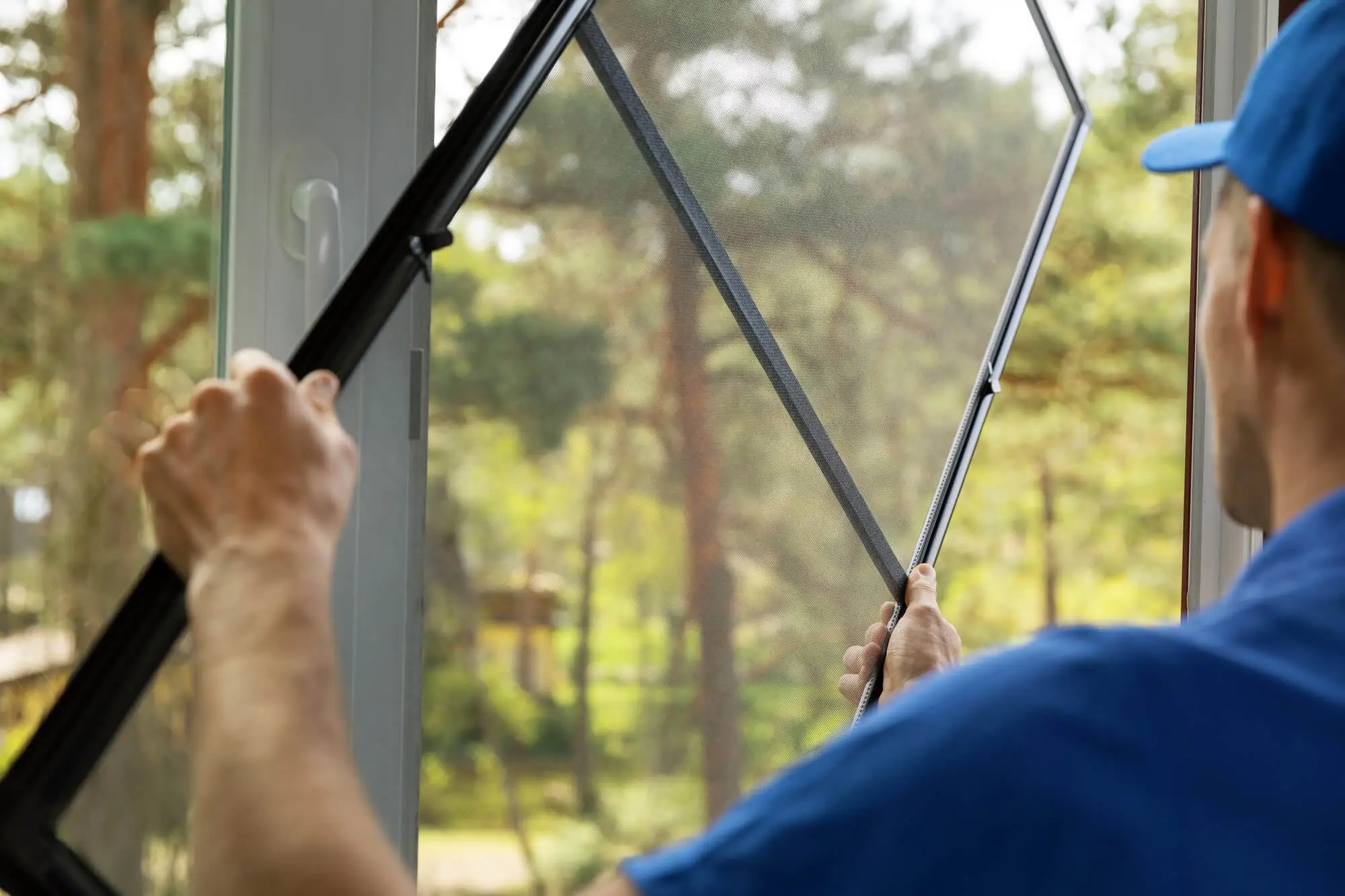 insektenschutz-fenster